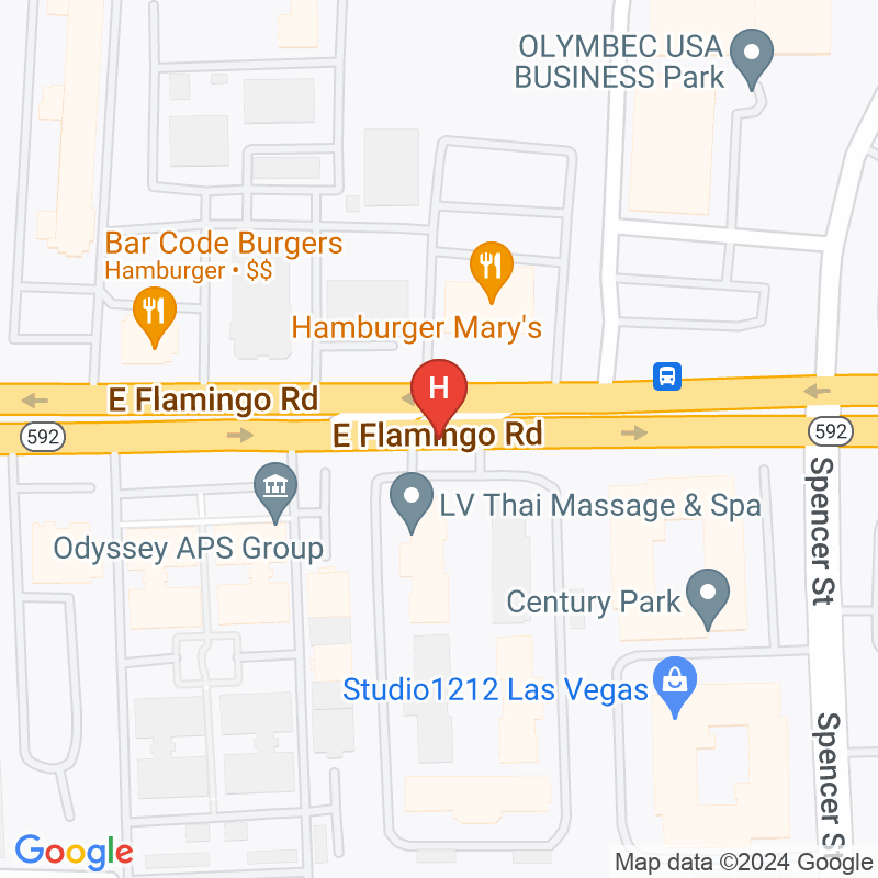 Affectionate Hospice Care, Llc - 1641 E Flamingo Rd Ste 8