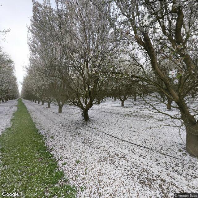 Our House - Shannon, Madera, CA Street View Image